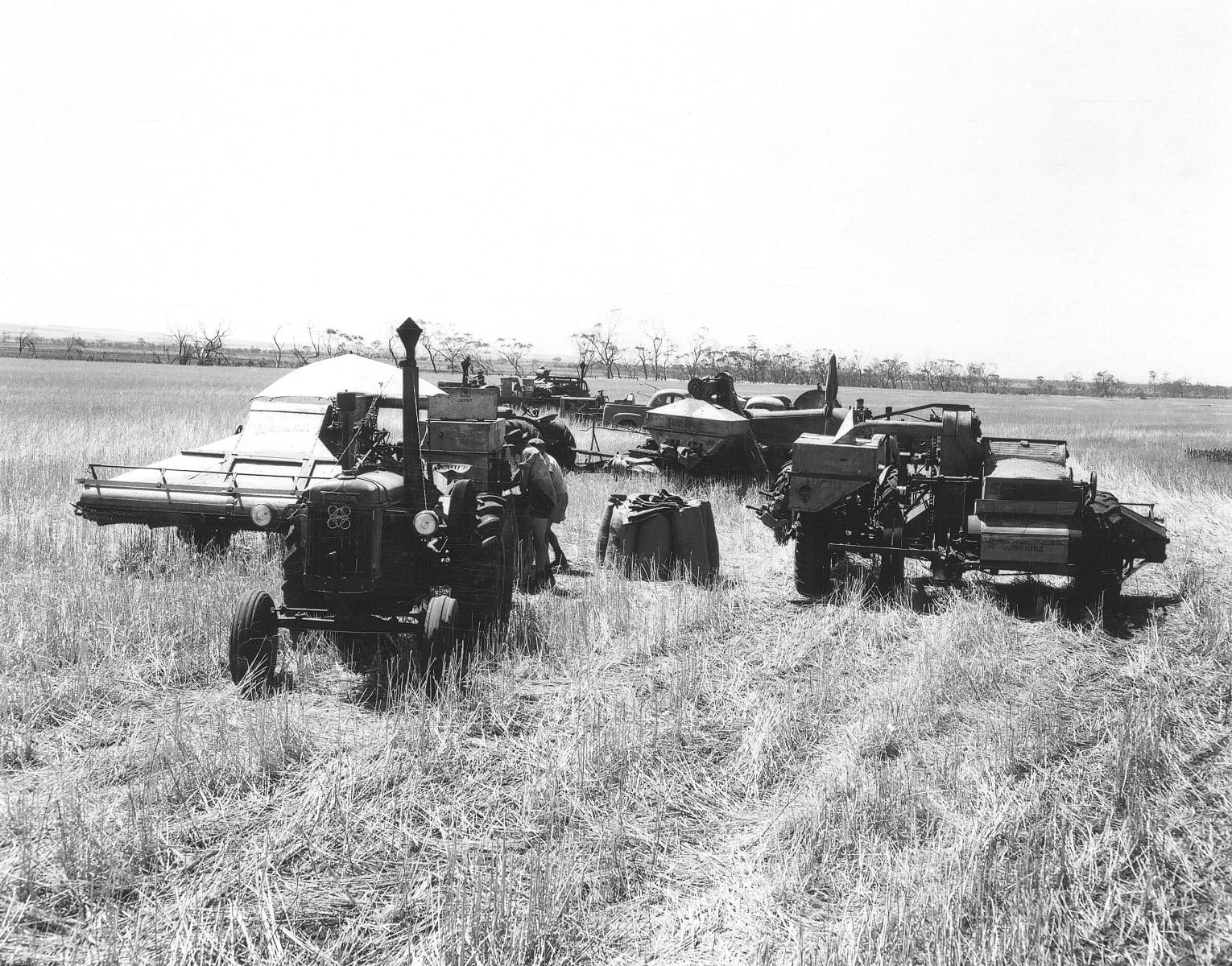 Slwa B2142787 7 Harvesting Dumping Wheat Eregulla Springs 1953